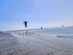 -老虎石海上公园