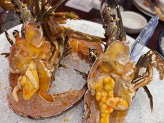 -东海怡品海鲜豆捞(舟宿夜江店)