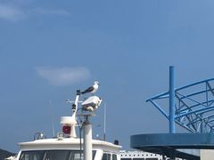 -海驴岛(荣成市)