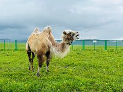 -新疆那拉提国家旅游度假区