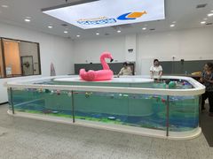 -优加国际游泳中心(开发区万达店)