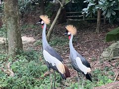 -杭州野生动物世界