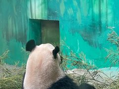 -杭州野生动物世界