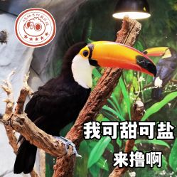 -Zoolung Zoolung动物主题公园(海信广场店)