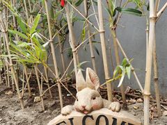 -后海16号·北京私房菜