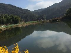 -广州市石门国家森林公园