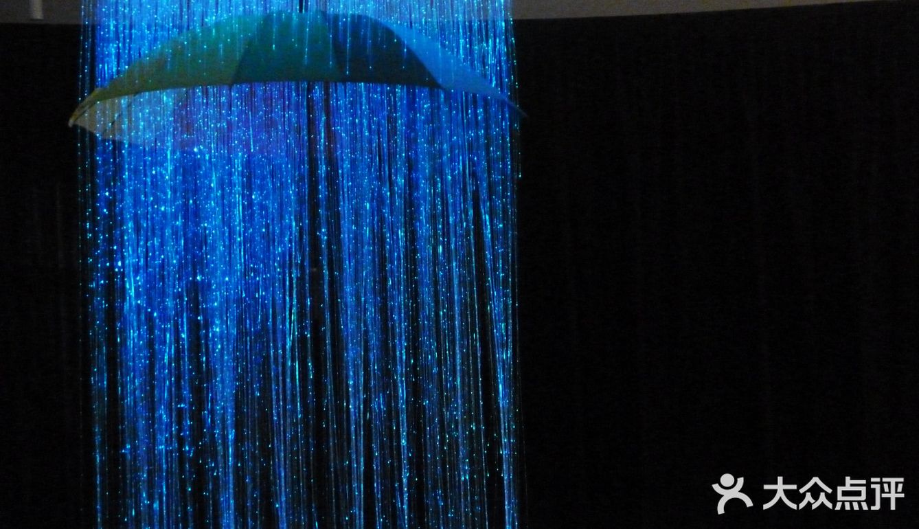 这次展不用门票，坐标原美术馆  作品雨伞的直径是1