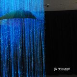 这次展不用门票，坐标原美术馆  作品雨伞的直径是1