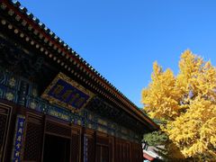 -香山公园