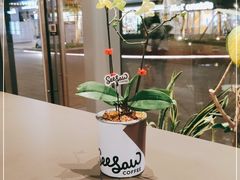 -Seesaw Coffee(苏州中心店)