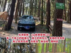 -重庆睡佛山森林公园