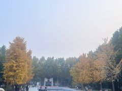 -中国石油大学（北京）(北京西校区)