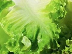 -牛人·雪花牛·木炭烤肉(昆山陆家店)