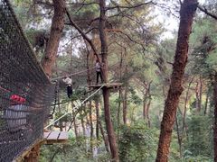 -芦仙山景区-飞越丛林探险乐园