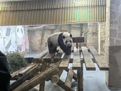 -无锡动物园·太湖欢乐园