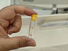 -泰康拜博口腔(凯迪大厦店)