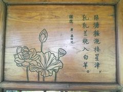 -荷塘月色湿地公园·向阳花洲
