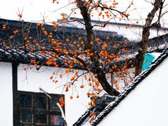 -北寺塔