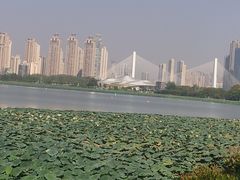 -月湖风景区