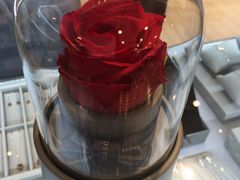 -ROSEONLY诺誓(国际广场购物中心店)