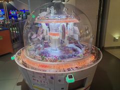 -星际传奇(石家庄桥西万象城店)