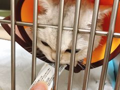 -深圳野生动物园宠物医院(西湖林语店)