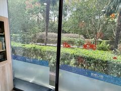 -维乐口腔(格林门诊长宁店)