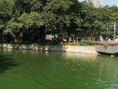 -荔湾湖公园