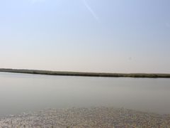 -哈素海