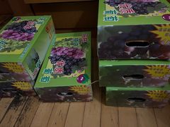 -马陆小张葡萄园农家乐