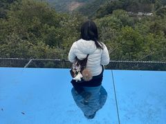 -大余丫山旅游度假区