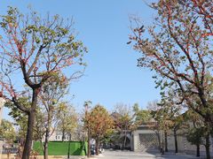 -均和墟历史街区-平和大押