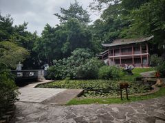 -深圳国际园林花卉博览园