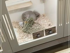 -龙猫仔乐园(惠福东路店)