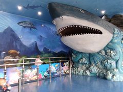 -多彩贵州城极地海洋世界