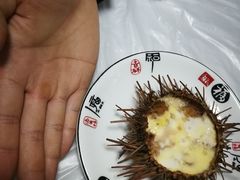 海胆蒸蛋-宾朋海鲜特色美食餐厅·纯手工鲅鱼水饺(兴海路店)