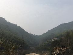-宁海安岚·南溪阁全日餐厅