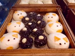 -齐河孔雀王温泉酒店·金孔雀自助百汇