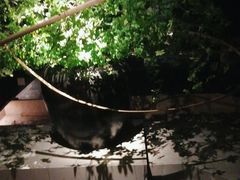 -泰之源足浴会所(玉环店)