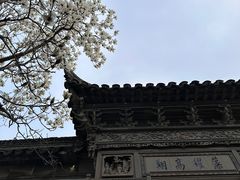 -大叔家福鼎小吃(十全街店)