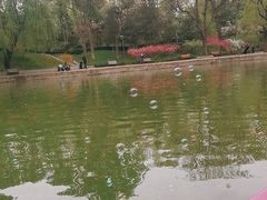 -团结湖公园