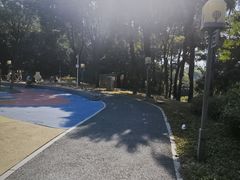 -清湖文化公园