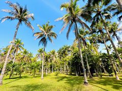 -中国科学院西双版纳热带植物园
