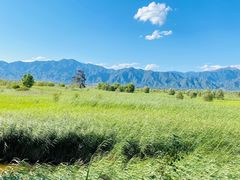 -野鸭湖国家湿地公园
