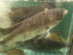 -阿娘家·原生态农家菜(国顺东路店)