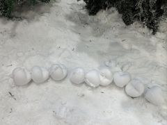 -广州热雪奇迹