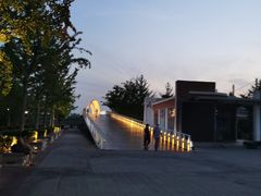 -大兴滨河森林公园