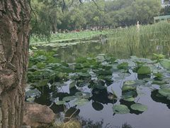 -北陵公园