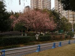 -赵元章肉骨烧(山塘街店)