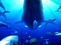 -烟台海昌鲸鲨海洋公园